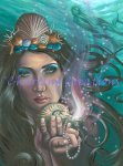 Ace Of Cups (image for) Ace Of Cups